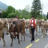 images/galerien/2015/Jodlerreise Appenzell Mai 2015/IMG_3767.jpg